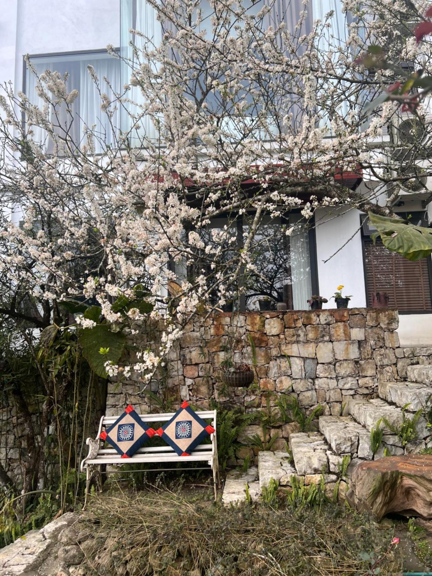 Green Villa Sapa Zewnętrze zdjęcie